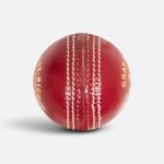 Gray-Nicolls Demon Red Cricket Ball - Image 3