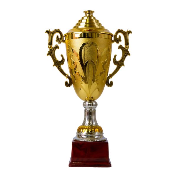Plastic Trophy, Gold, Small, 34cm