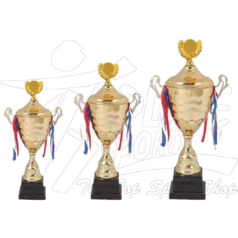 Trophy Metal with Plastic Base ±41cm