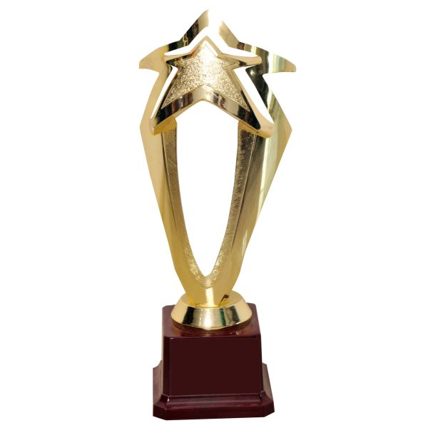 Star Award Trophy