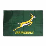 Springbok Hand Flag - Image 2