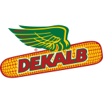 Bulties-Dekalab-3.png