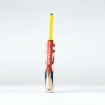 Gray-Nicolls Havoc HB317 Warrior Cricket Bat
