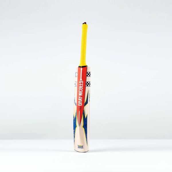 Gray-Nicolls Havoc HB317 Warrior Cricket Bat