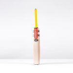 Gray-Nicolls Havoc HB317 Warrior Cricket Bat - Image 7