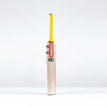 Gray-Nicolls Havoc HB317 Warrior Cricket Bat - Image 6
