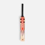 Gray-Nicolls Alpha Cricket Bat